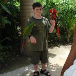 The Birdman of Cancun