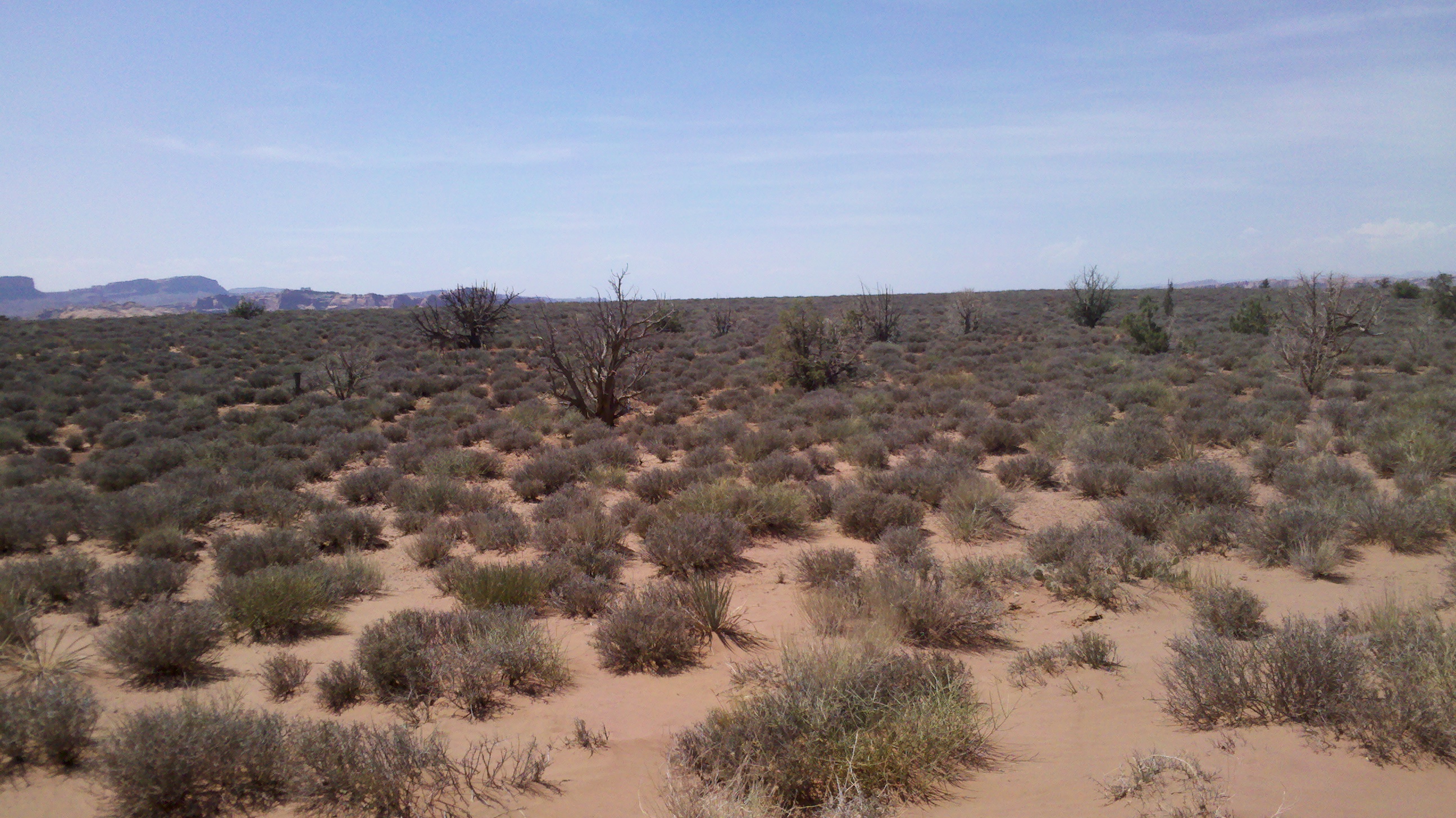 2012-06-03_14-55-23_920