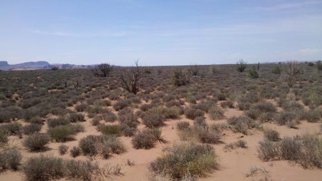 2012-06-03_14-55-23_920