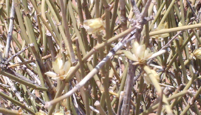 2012-06-03_14-56-56_685
