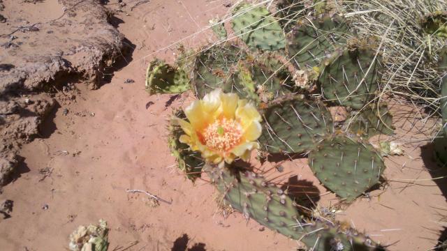 2012-06-03_16-08-01_606