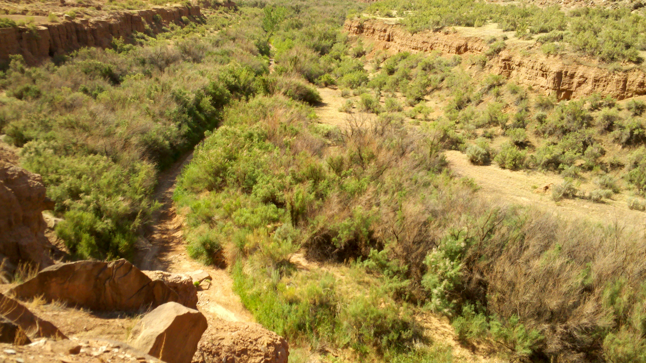 2012-06-04_10-05-57_429