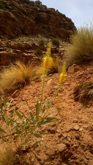 2012-06-04_11-53-23_117