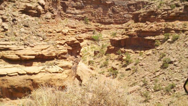 2012-06-04_12-27-07_859