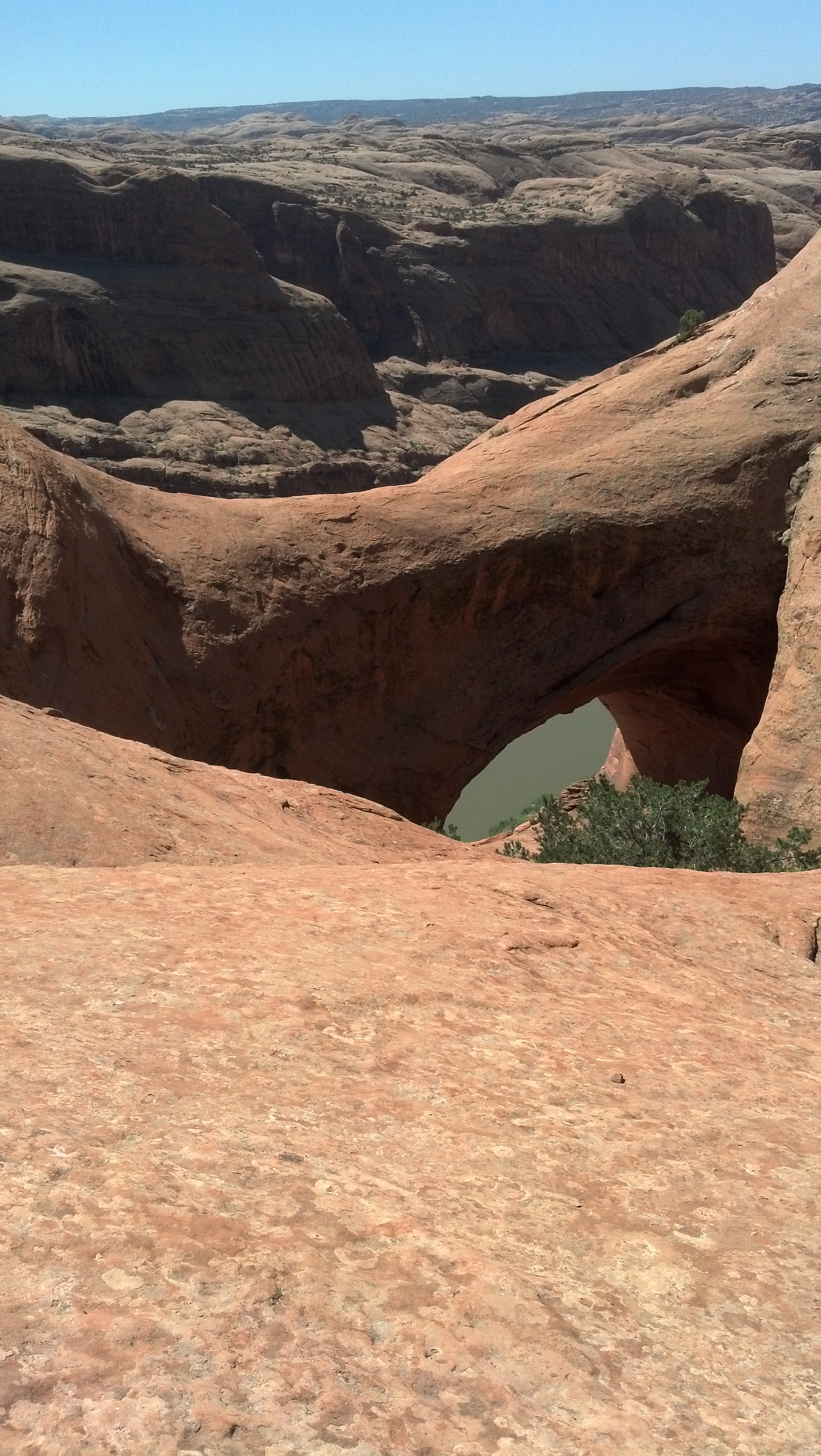 2012-06-06_11-00-02_556