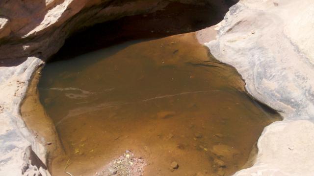 2012-06-06_13-06-20_474