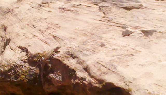 2012-06-06_13-08-47_189