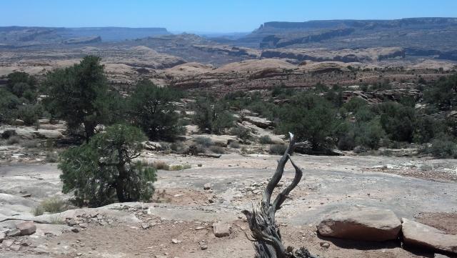 2012-06-06_14-07-20_682