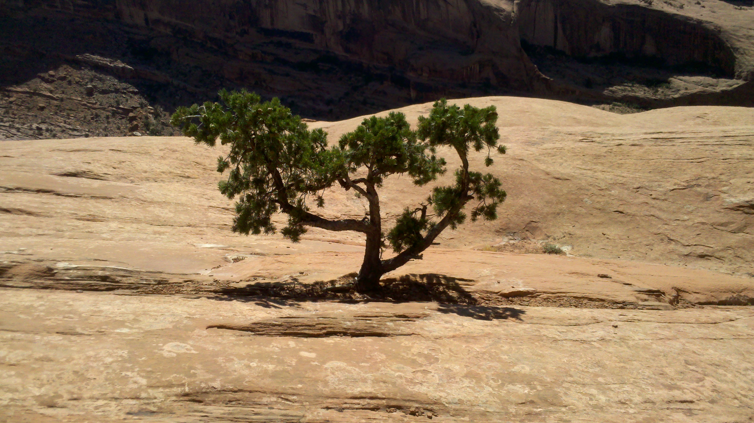 2012-06-06_16-59-37_399