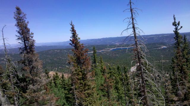 2012-06-09_11-32-18_499