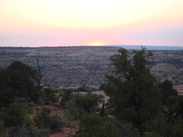 DSC03626